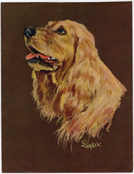 Vintage calendar/poster prints of dogs